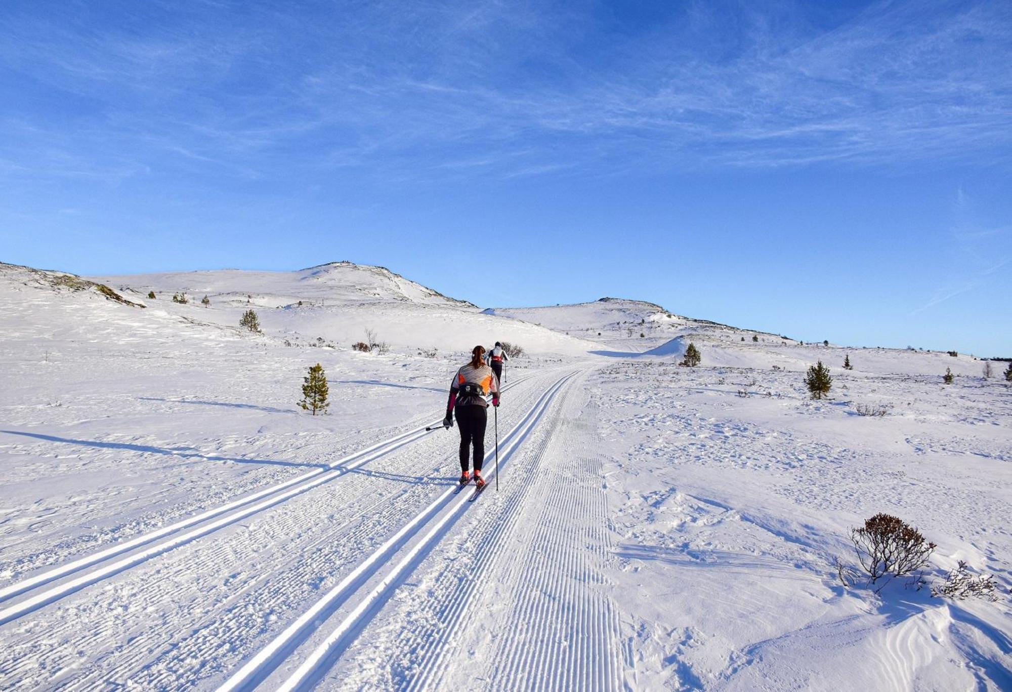 Rondane Haukliseter Fjellhotell Hovringen ภายนอก รูปภาพ